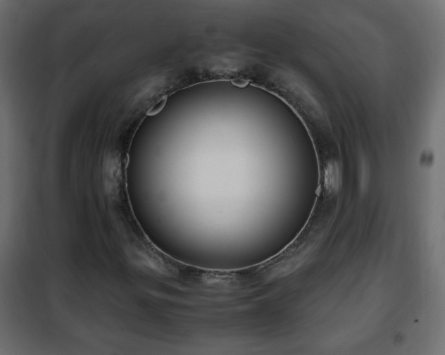 X0000102341299200808081121