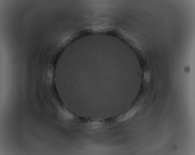 X0000102341300200808081121