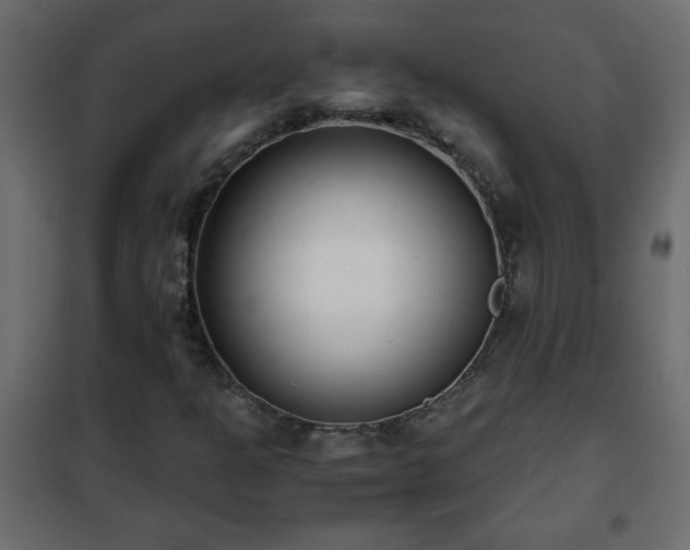 X0000102341301200808081121