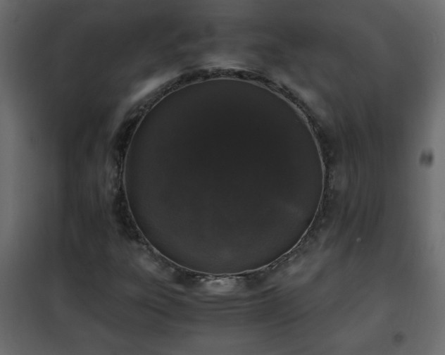 X0000102341303200808081121