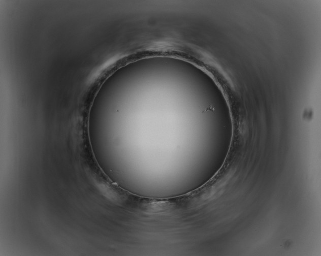 X0000102341304200808081121