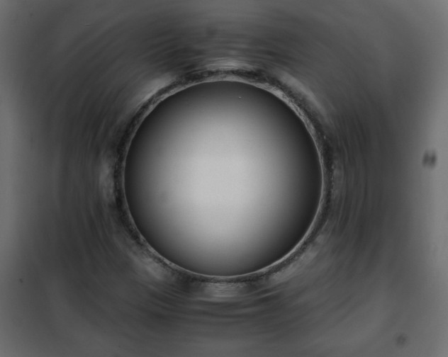 X0000102341305200808081121