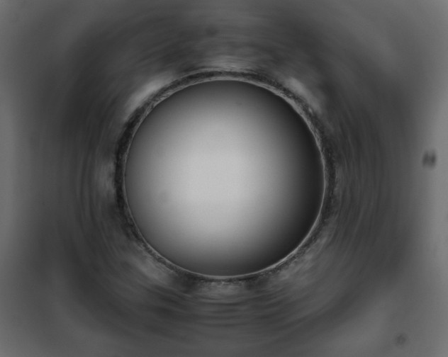 X0000102341307200808081121