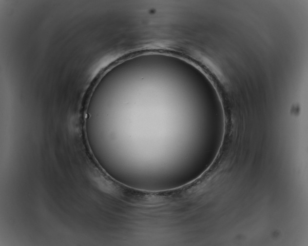 X0000102341308200808081121