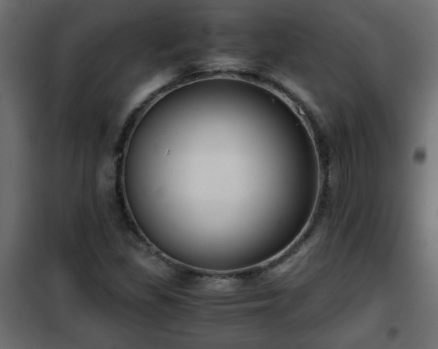 X0000102341309200808081121