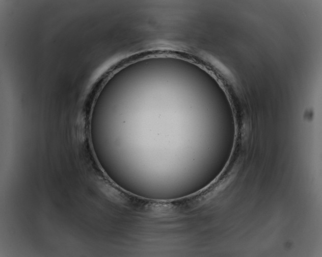 X0000102341310200808081121