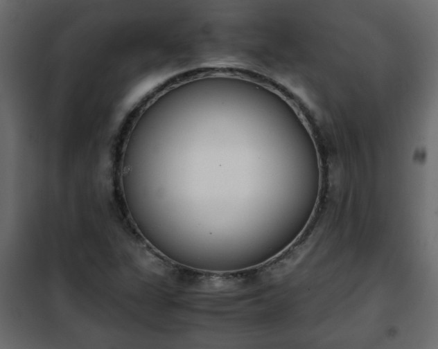 X0000102341311200808081121