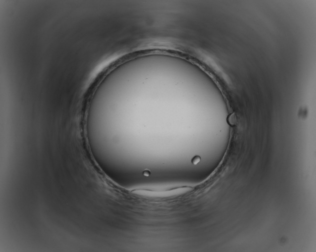 X0000102341312200808081121