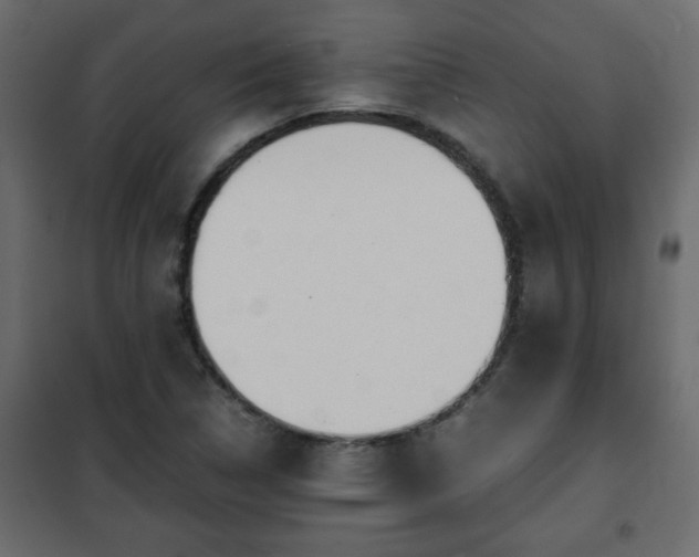 X0000102341314200808081121