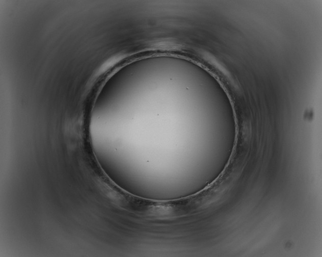 X0000102341315200808081121