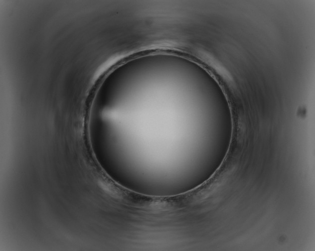 X0000102341316200808081121