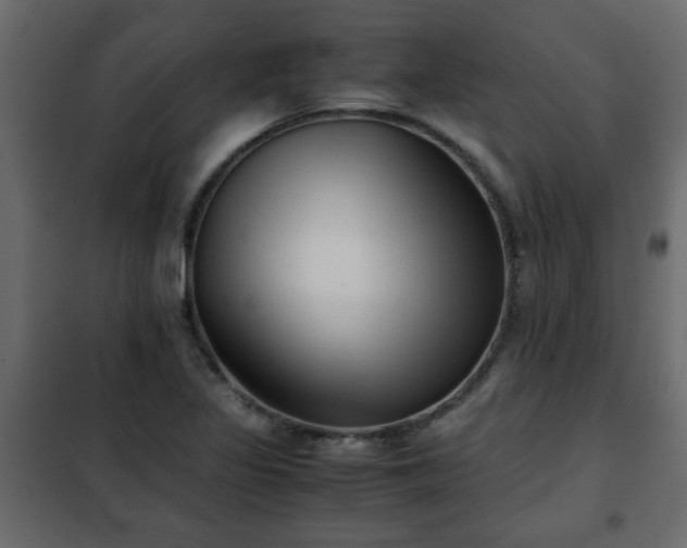 X0000102341317200808081121