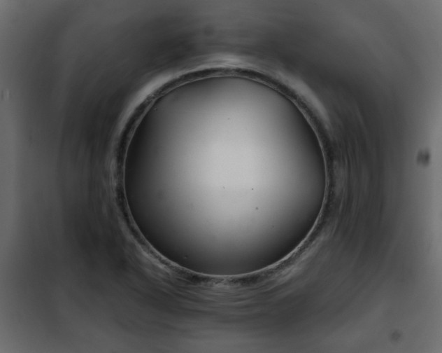 X0000102341318200808081121