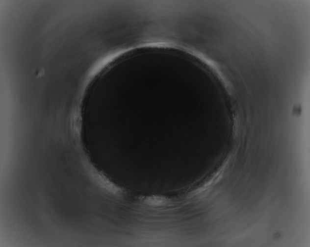 X0000102341319200808081121