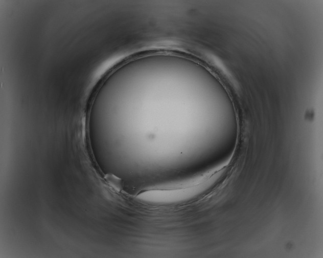 X0000102341320200808081121