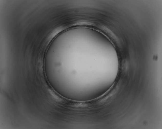 X0000102341321200808081121