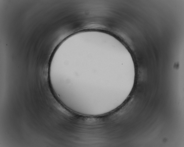 X0000102341322200808081121