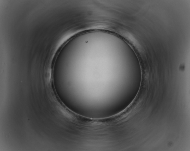 X0000102341324200808081121