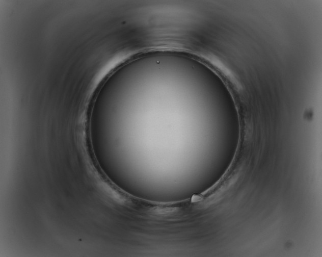 X0000102341325200808081121