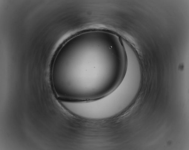 X0000102341326200808081121