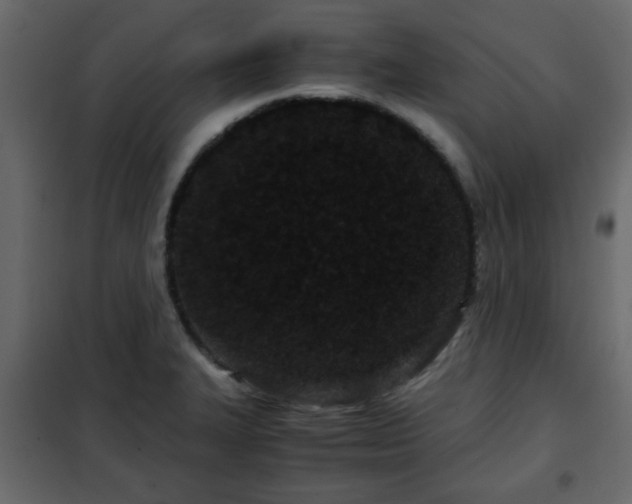 X0000102341327200808081121