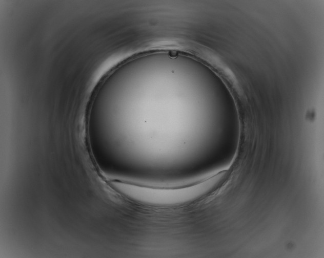 X0000102341328200808081121