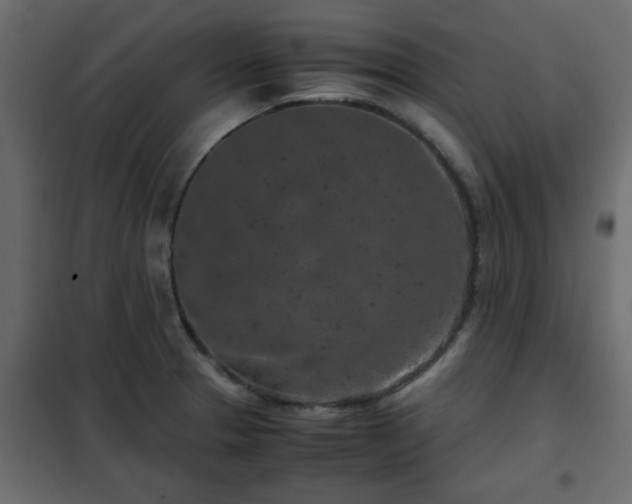 X0000102341329200808081121