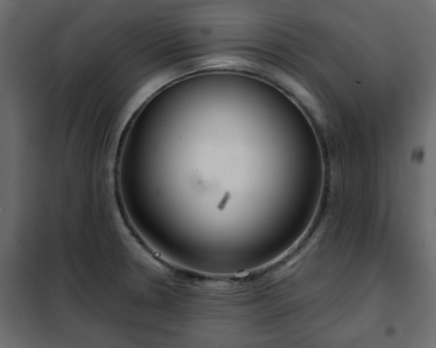 X0000102341330200808081121