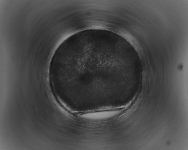 X0000102341331200808081121