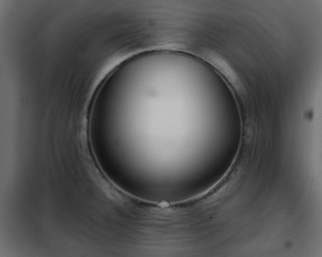 X0000102341332200808081122