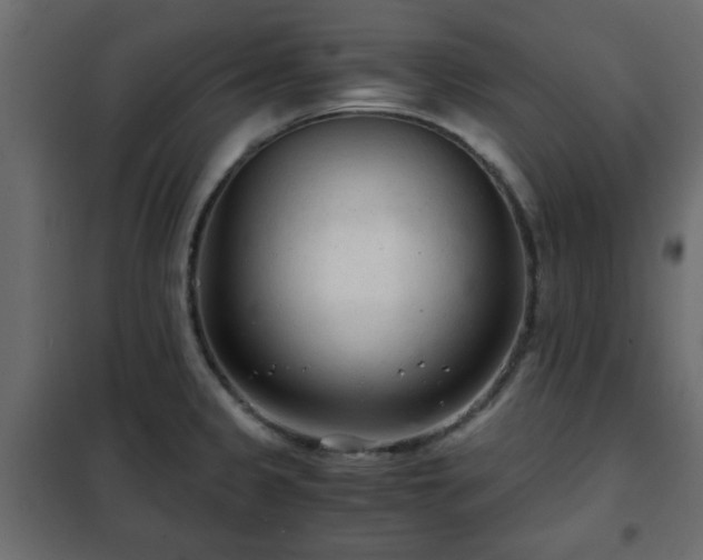 X0000102341333200808081122