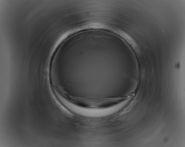 X0000102341334200808081122