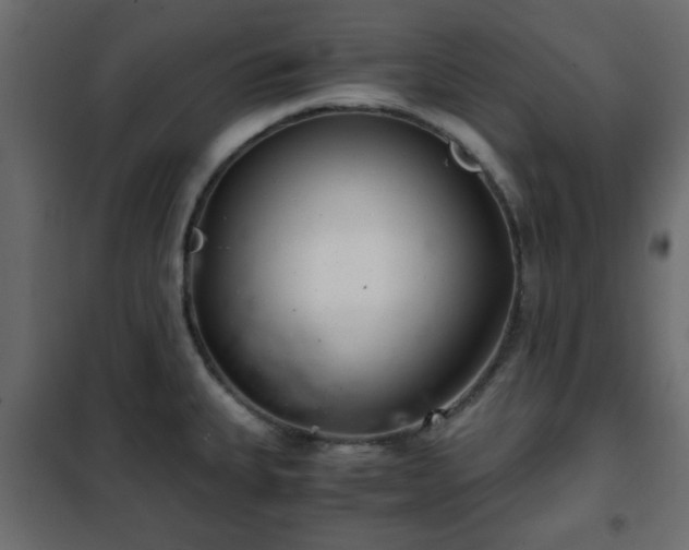 X0000102341335200808081122