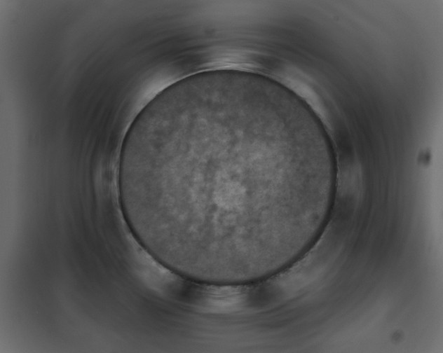 X0000102341338200808081122