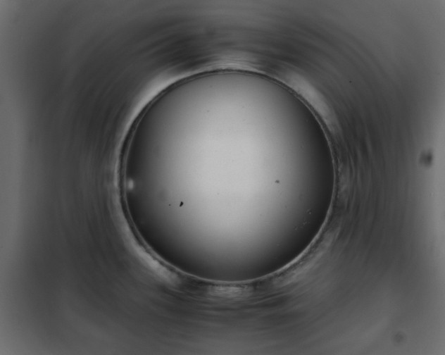 X0000102341339200808081122