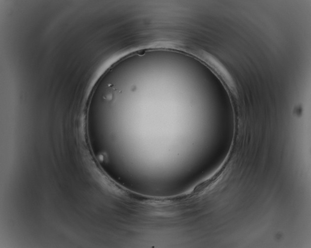 X0000102341340200808081122