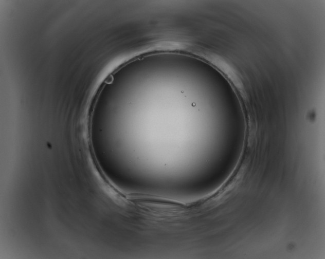 X0000102341342200808081122