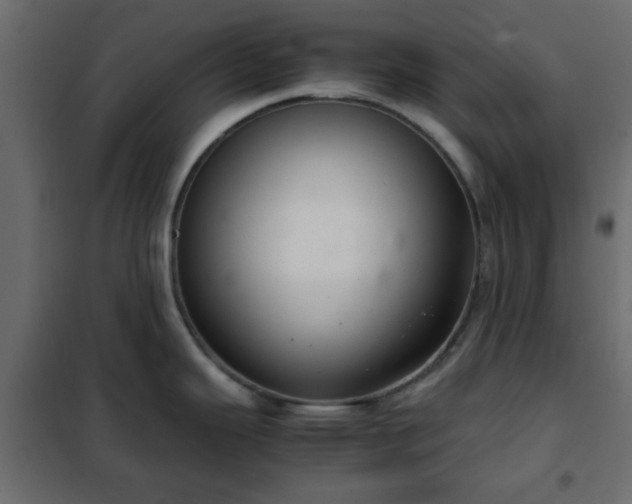 X0000102341343200808081122