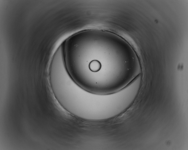 X0000102341344200808081122