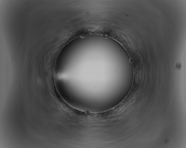 X0000102341345200808081121