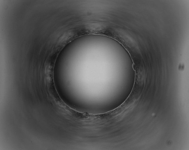 X0000102341346200808081121