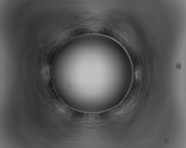 X0000102341347200808081121