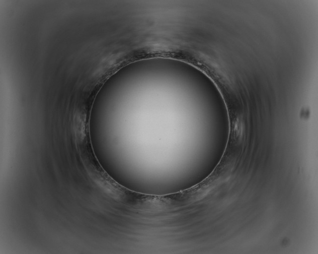 X0000102341348200808081121