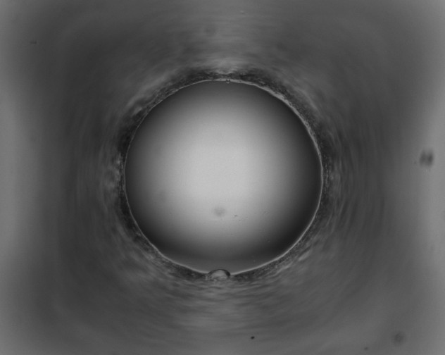 X0000102341349200808081121