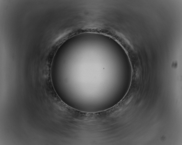 X0000102341350200808081121