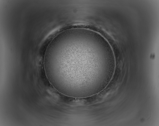 X0000102341351200808081121