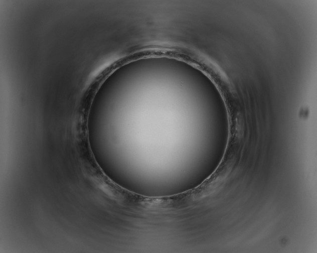 X0000102341352200808081121