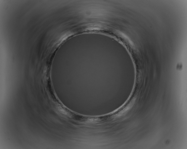 X0000102341353200808081121