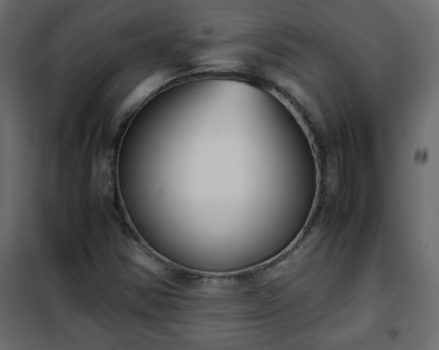 X0000102341354200808081121