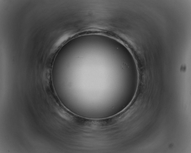 X0000102341355200808081121